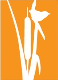 SVT Halloween Logo